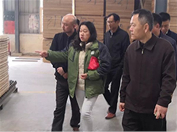 省市质监领导视察健居乐生产基地